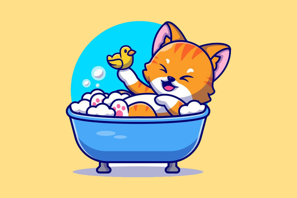 Нужно ли купать кошек? Что нужно знать.