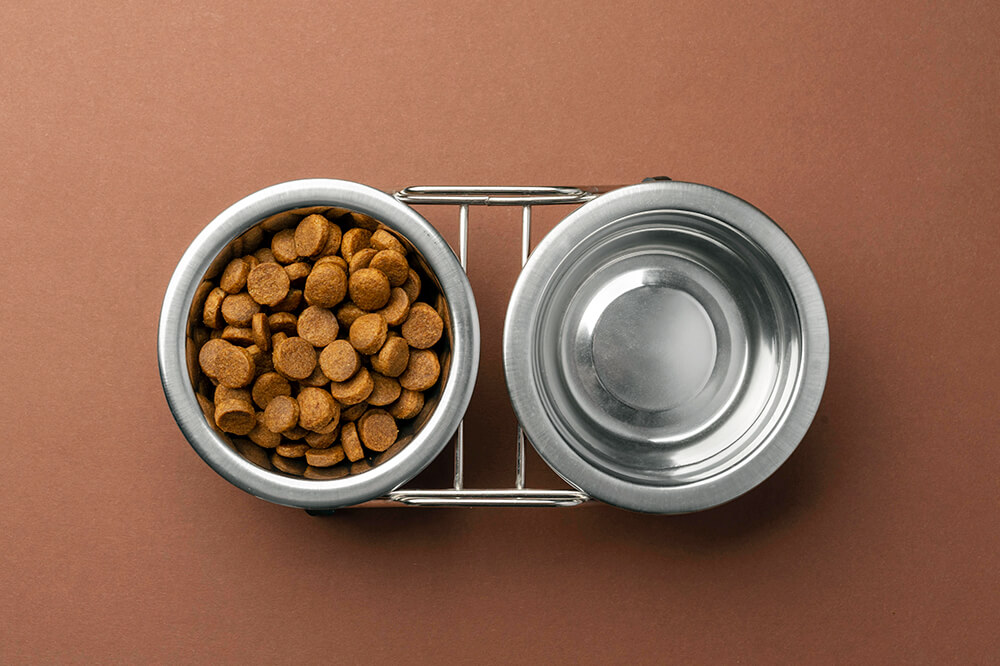 миска для еды и воды для собак