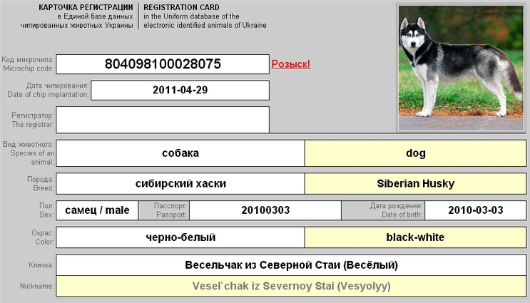 Поиск животного по коду микрочипа в базе чипированных животных Украины