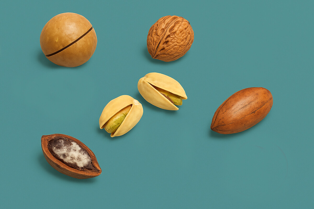 можно ли собакам орехи можно ли собакам орихи