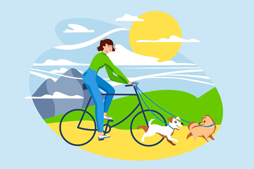 велопрогулка с собакой