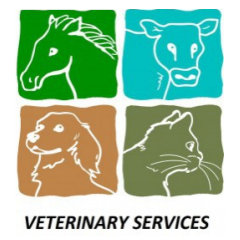 Ветеринарная клиника "Veterinary Service"