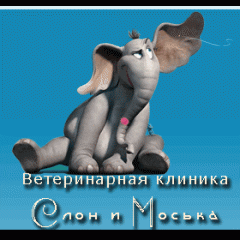 Ветеринарная клиника "Слон и Моська"