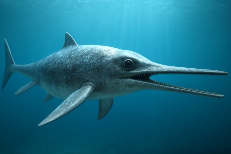 Іхтіозавр Ichthyosauria, Ichthyosaurus