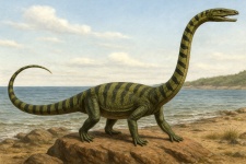 Танистрофей Tanystropheus