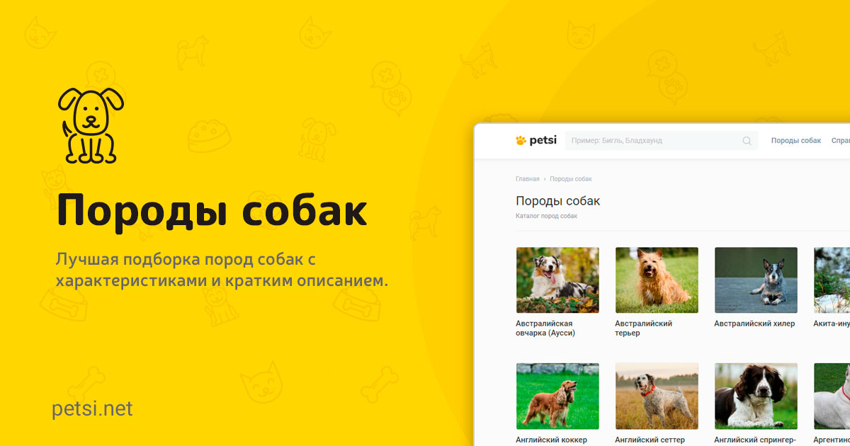 Все породы собак с фотографиями и названиями от а до я на русском языке thumbnail
