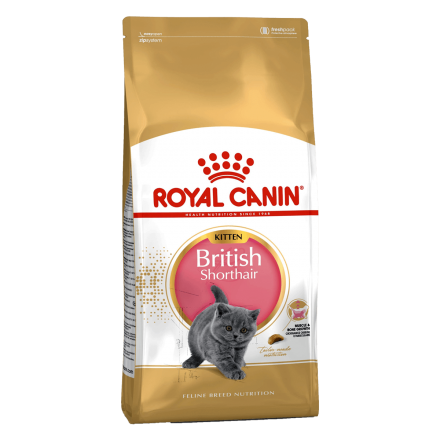Royal Canin British Shorthair Kitten, 10 кг - корм Роял Канин для британских короткошерстных котят