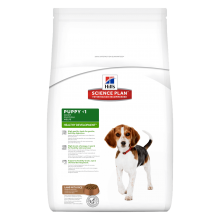 Hill's SP Healthy Development Puppy Medium Breed Lamb & Rice, 12 кг - корм Хилс для щенков средних пород